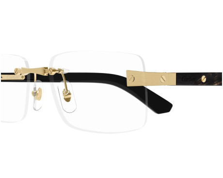 212827-Lunettes de vue Cartier Santos CT0513O