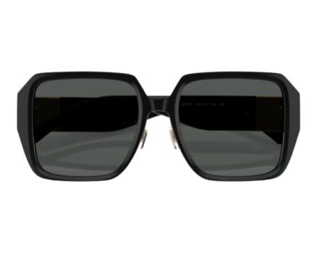 213326-Lunettes de Soleil Versace VE4472D