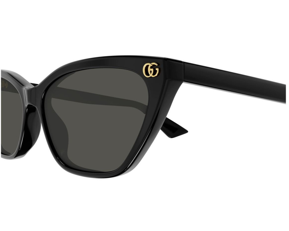 Lunettes de Soleil Gucci Emblem GG1815S