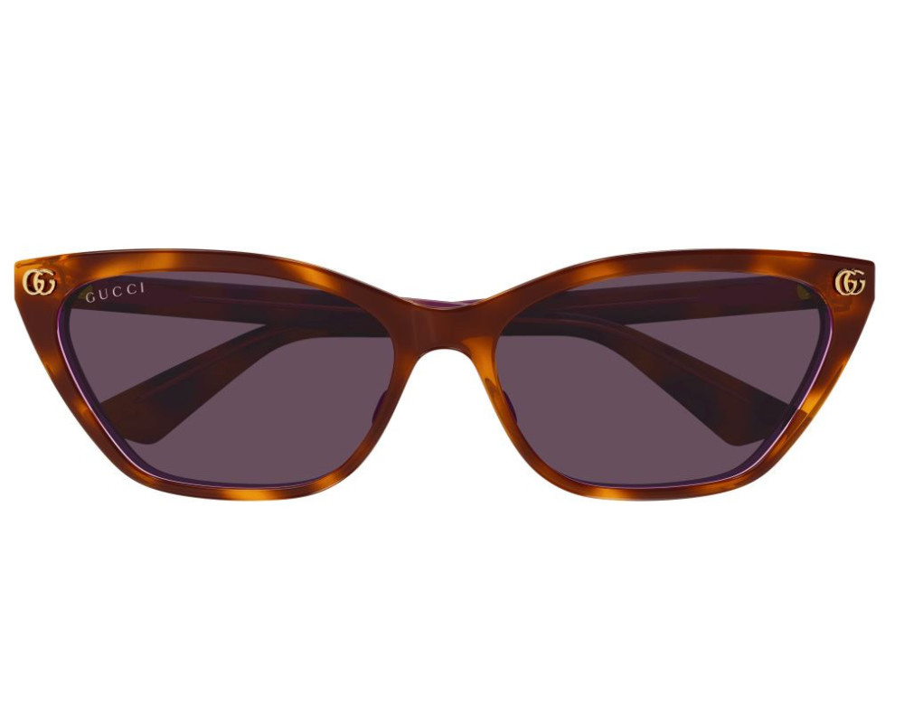 Lunettes de Soleil Gucci Emblem GG1815S