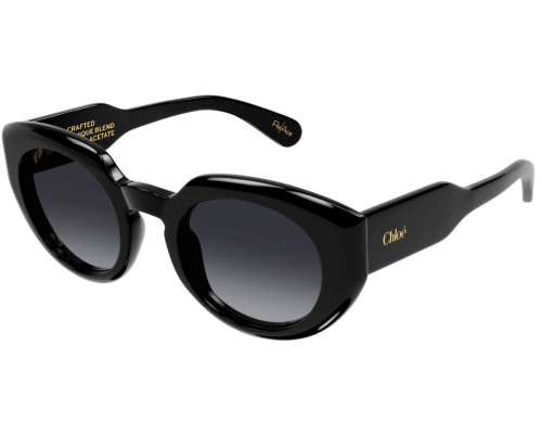 Lunettes de Soleil Chloe CH0311S