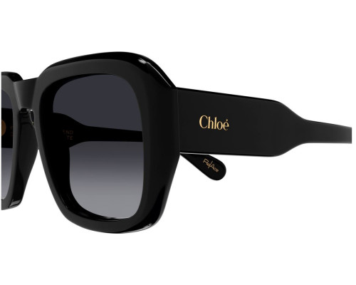 Lunettes de Soleil Chloe CH0310S