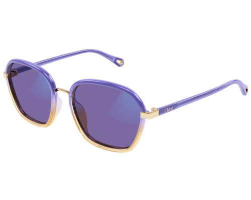 Lunettes de Soleil Chloe CH0309S