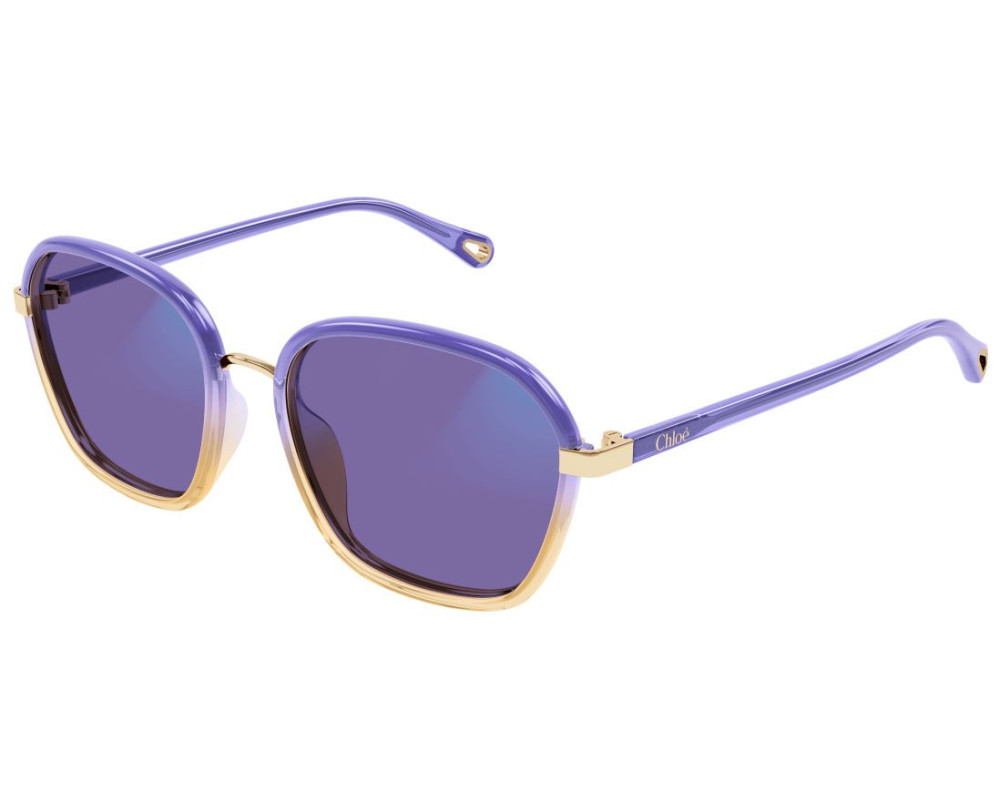 Lunettes de Soleil Chloe CH0309S