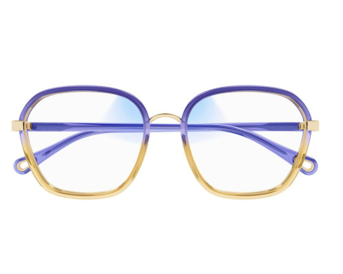 Lunettes de Soleil Chloe CH0309S