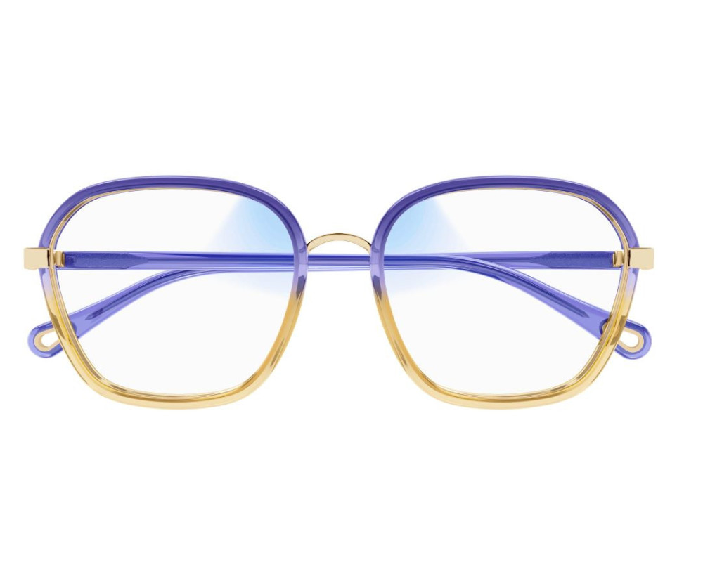 Lunettes de Soleil Chloe CH0309S