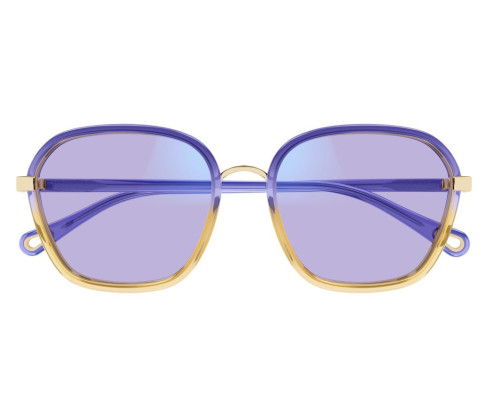 Lunettes de Soleil Chloe CH0309S