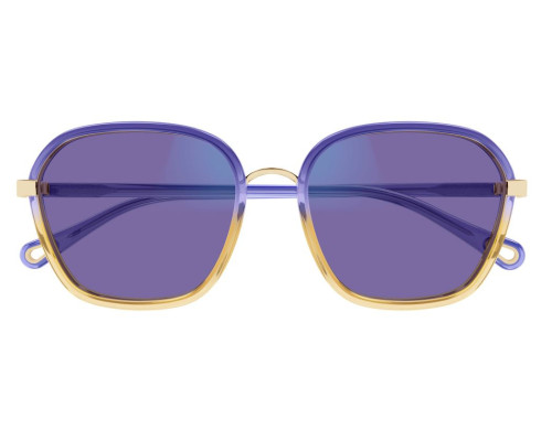 Lunettes de Soleil Chloe CH0309S