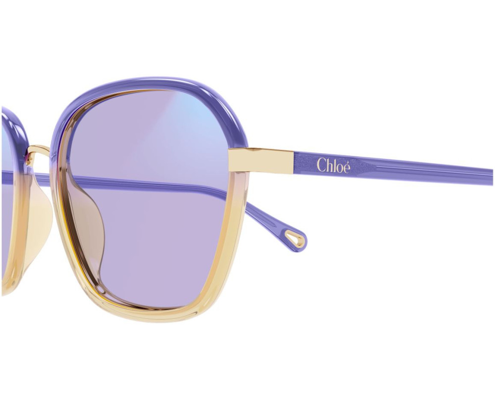 Lunettes de Soleil Chloe CH0309S