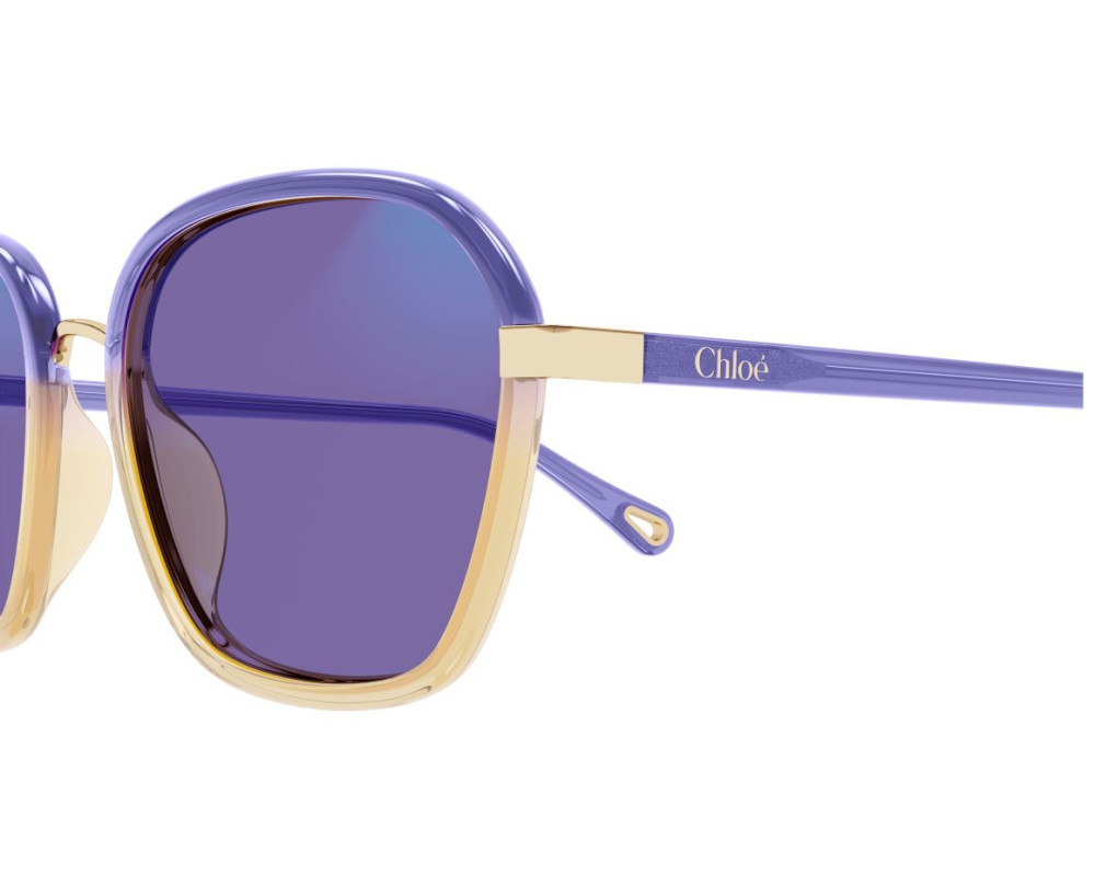 Lunettes de Soleil Chloe CH0309S
