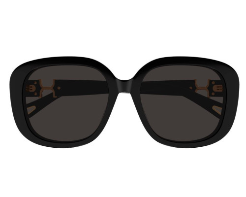 Lunettes de Soleil Chloe CH0303SK