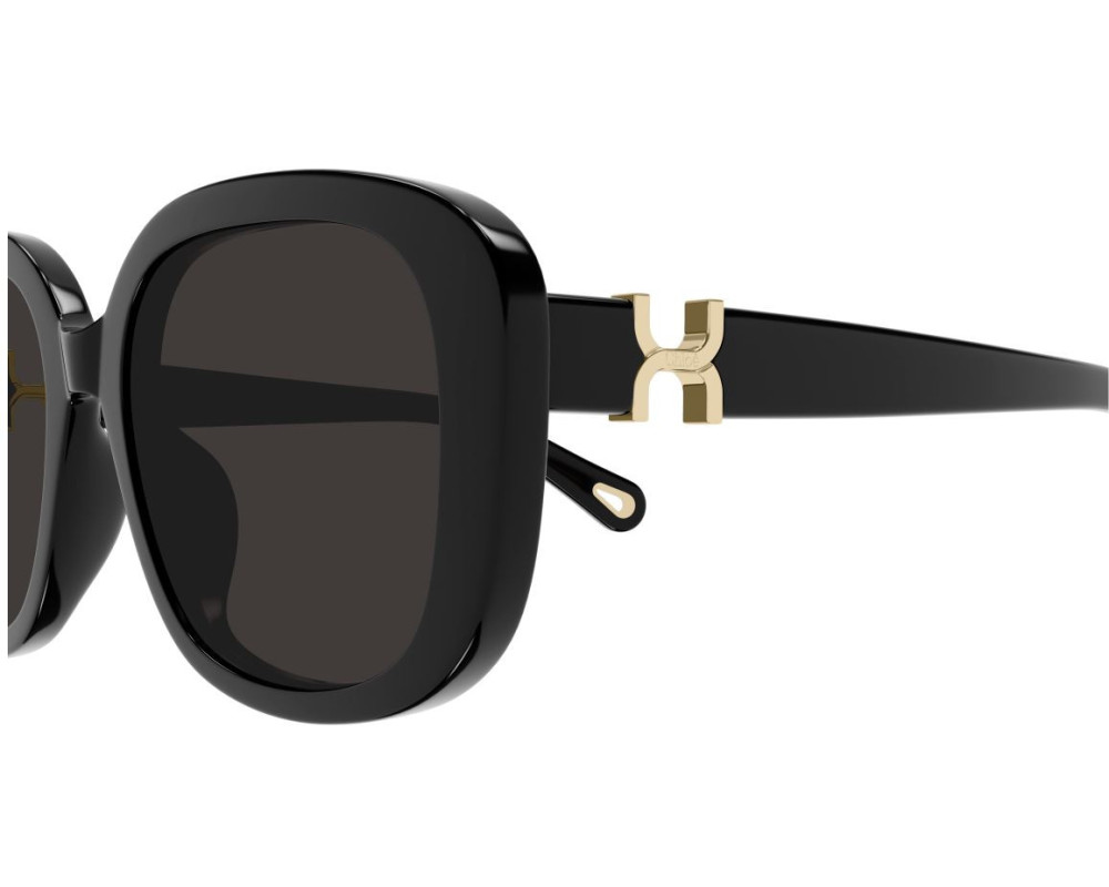 Lunettes de Soleil Chloe CH0303SK