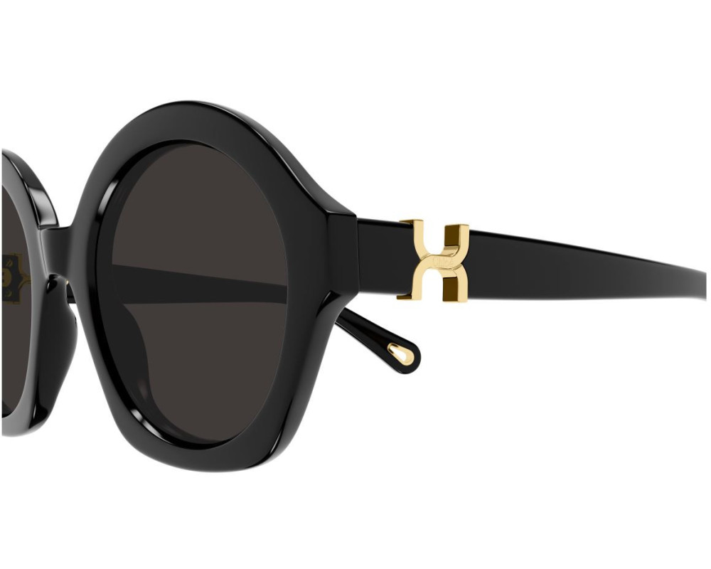 Lunettes de Soleil Chloe CH0302S
