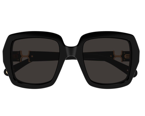 Lunettes de Soleil Chloe CH0301S