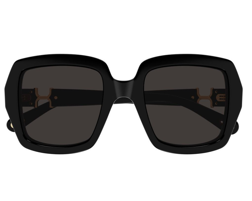 Lunettes de Soleil Chloe CH0301S