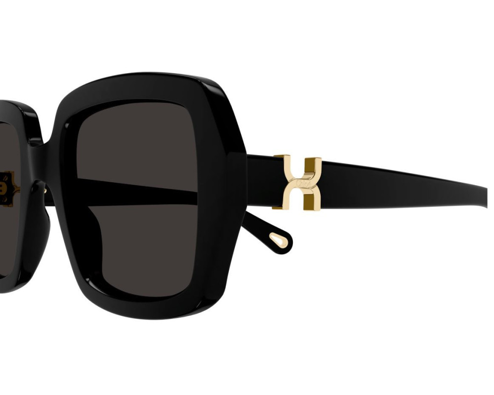 Lunettes de Soleil Chloe CH0301S