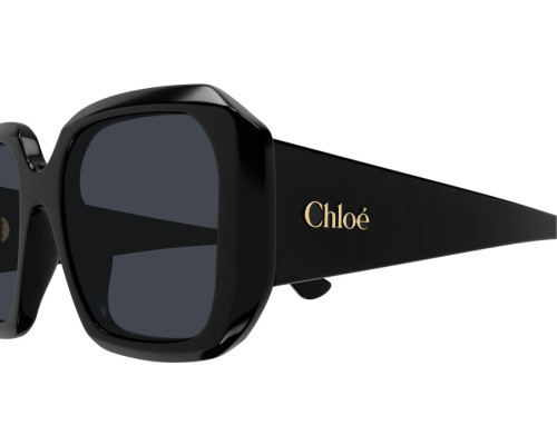 Lunettes de Soleil Chloe CH0300S