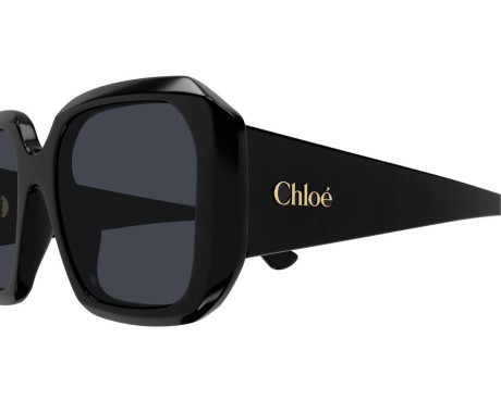 216551-Lunettes de Soleil Chloe CH0300S