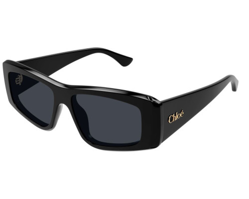 Zonnebril Chloe CH0299S
