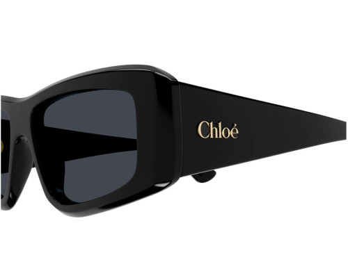 Lunettes de Soleil Chloe CH0299S