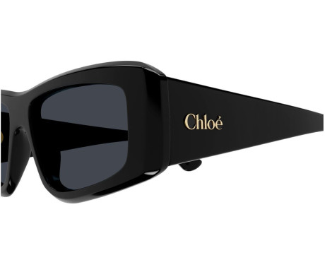 216563-Lunettes de Soleil Chloe CH0299S