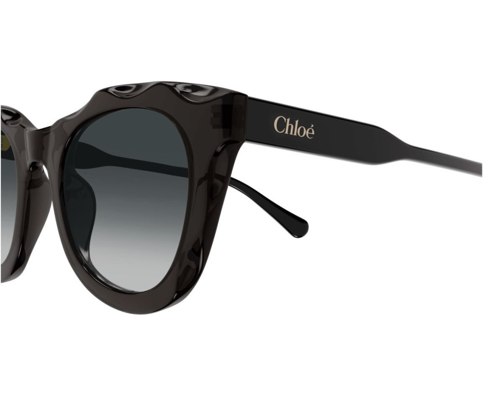 Lunettes de Soleil Chloe CH0295S