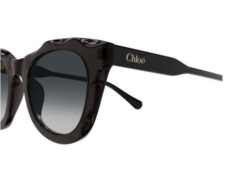 216713-Zonnebril Chloe CH0295S