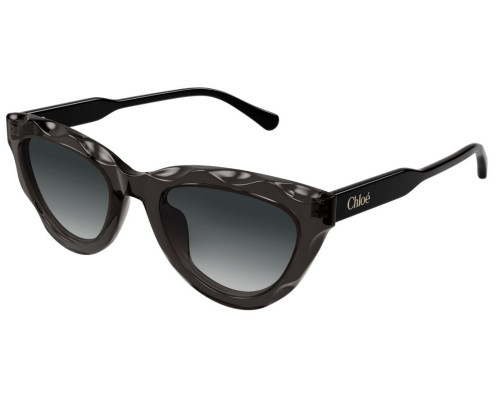 Lunettes de Soleil Chloe CH0294S