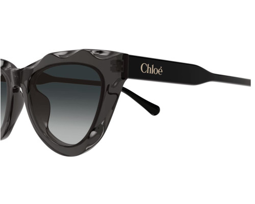 Lunettes de Soleil Chloe CH0294S