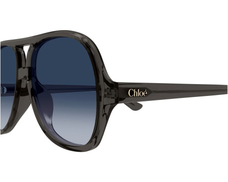 216826-Sunglasses Chloe CH0289S