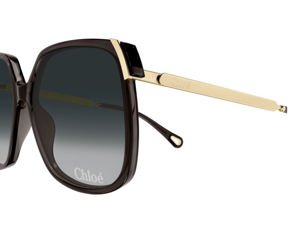 Lunettes de Soleil Chloe CH0286S