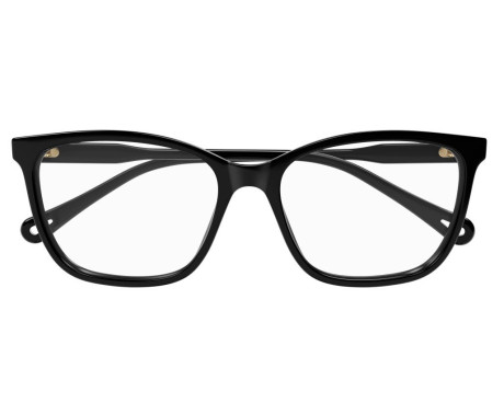 216947-Eyeglasses Chloe CH0318O