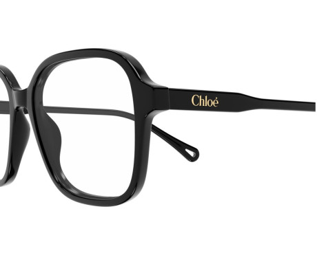 217020-Bril Chloe CH0317OA