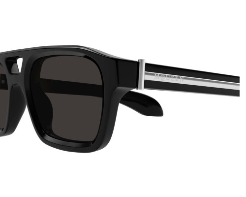Lunettes de Soleil Alexander McQueen Skull AM0505S