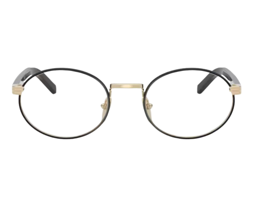Bril Prada PR B55V