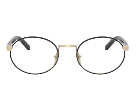 219025-Bril Prada PR B55V
