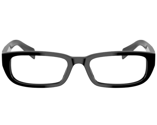 Beeldschermen Prada PR B05V