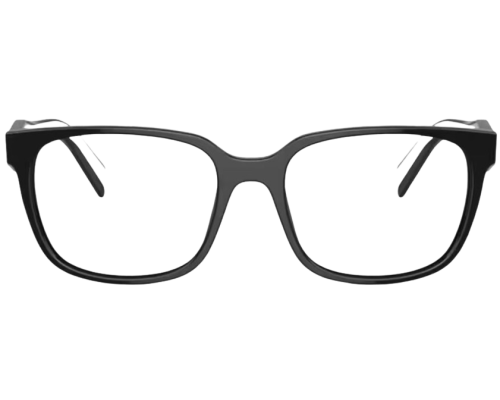 Bril Prada PR 17ZV