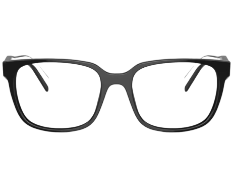 219326-Bril Prada PR 17ZV