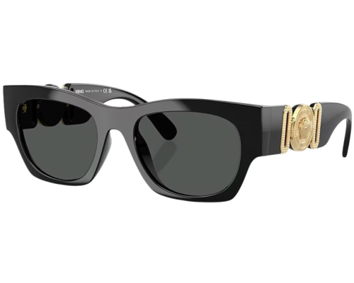 Zonnebril Versace VE4479U