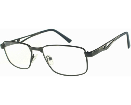219628-Lunettes de vue 100% Santé E1059C2