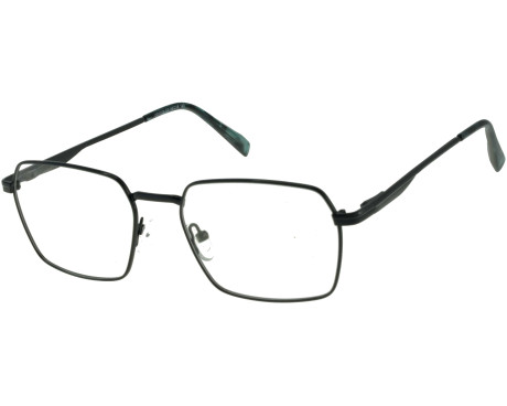 219631-100% Health Bril E1072C2