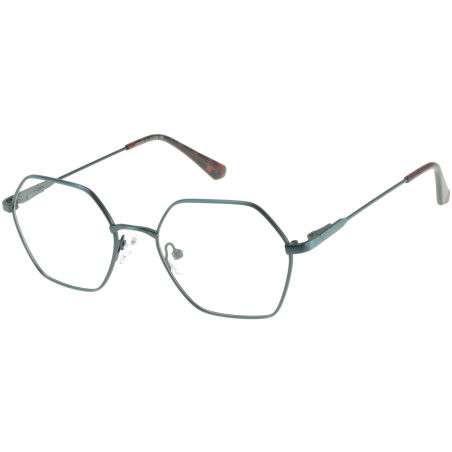 Lunettes de vue 100% Santé E1074C1
