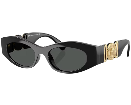 219640-Zonnebril Versace VE4480U