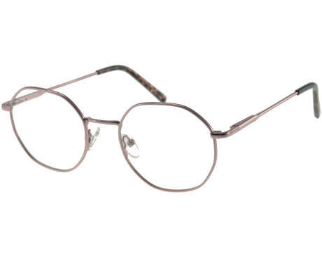 219658-100% gezondheidsbrillen E1150C1