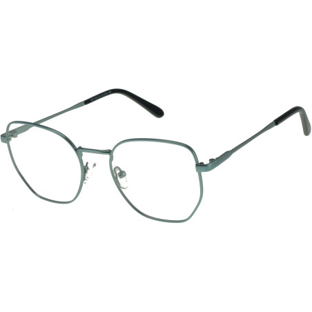 Lunettes de vue 100% Santé E1155C3