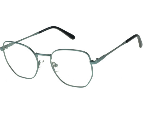 219660-Lunettes de vue 100% Santé E1155C3