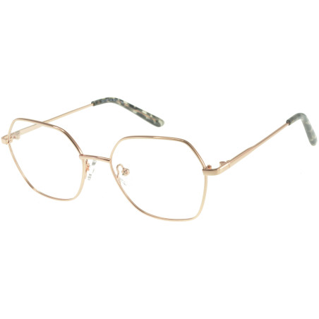 Lunettes de vue 100% Santé E1161C2