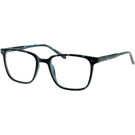 Lunettes de vue 100% Santé E5153 C2
