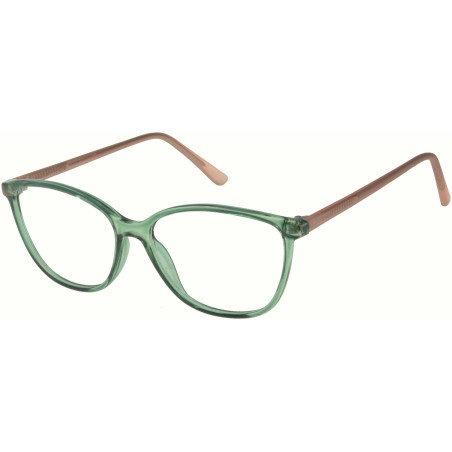 Lunettes de vue 100% Santé E5172 C1